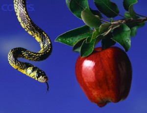 Serpent and Apple