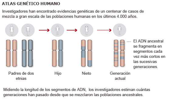 Fuente: Atlas Genético Humano (UCL, Universidad de Oxford Instituto Max Planck). / EL PAIS